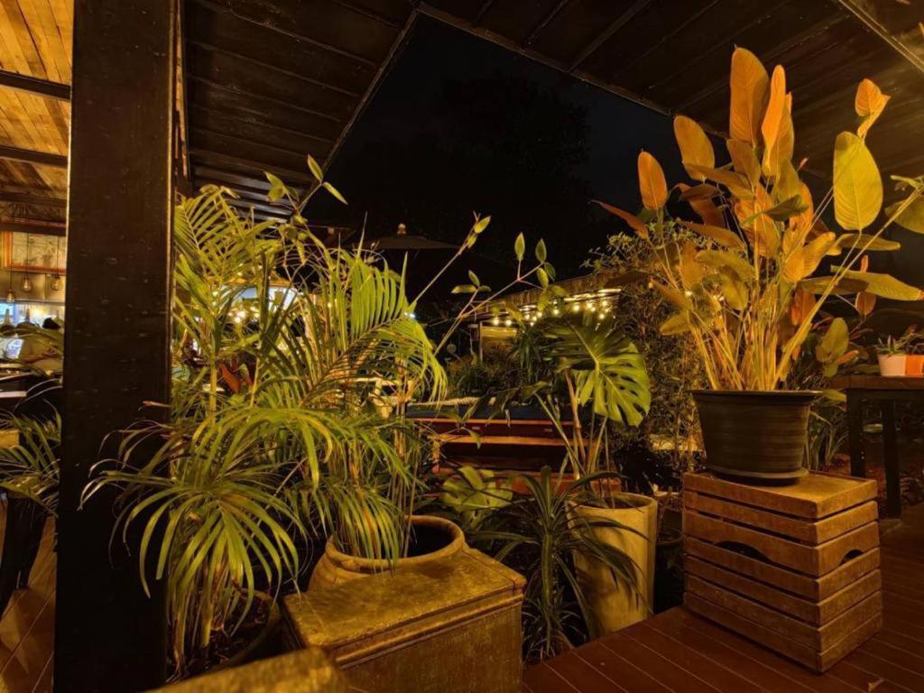The Willow Phangan Ko Pha Ngan Exterior photo