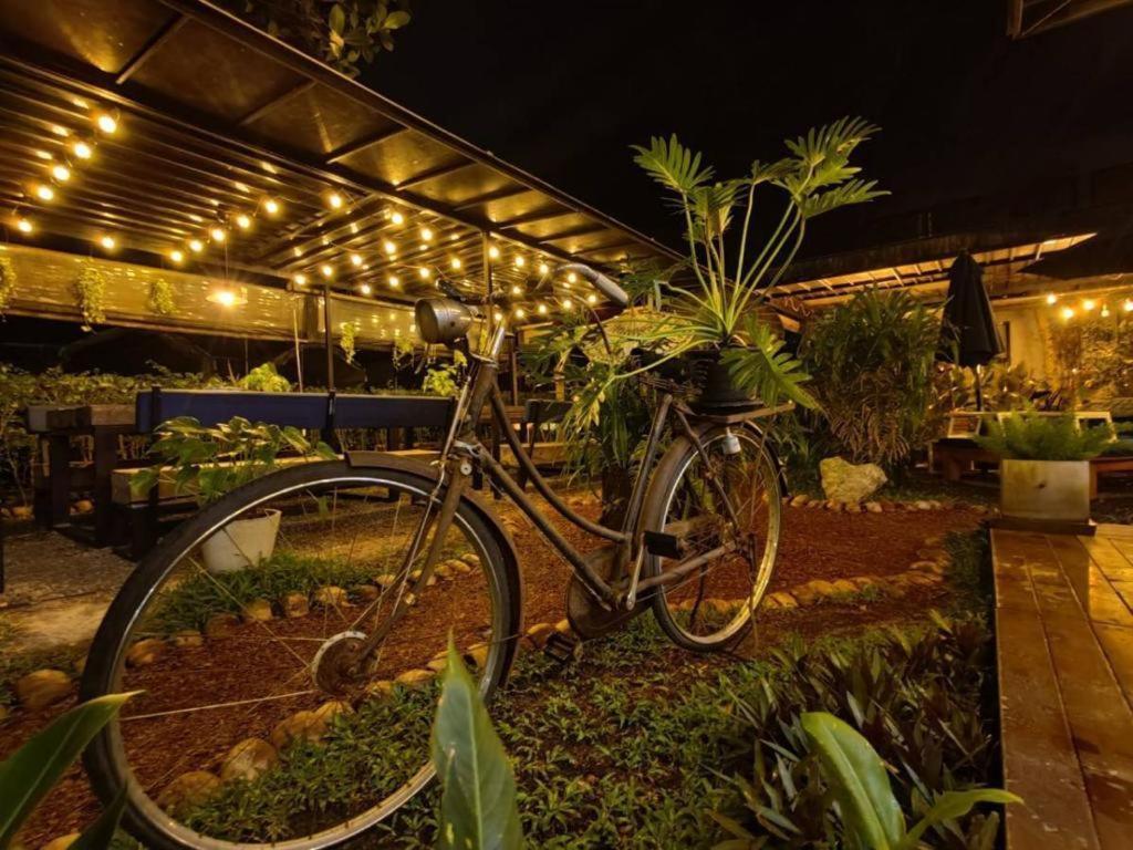 The Willow Phangan Ko Pha Ngan Exterior photo